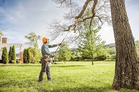 Cheyenne, WY Tree Services Company